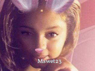 Mswet23