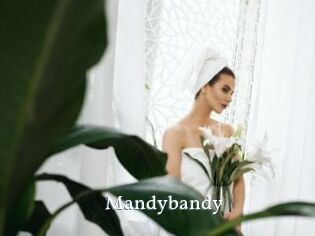 Mandybandy