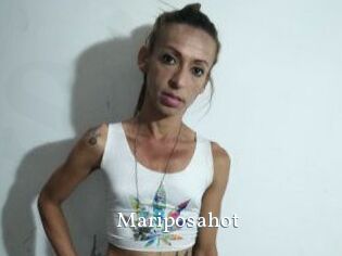 Mariposa_hot