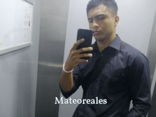 Mateoreales