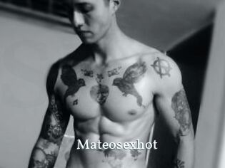 Mateosexhot