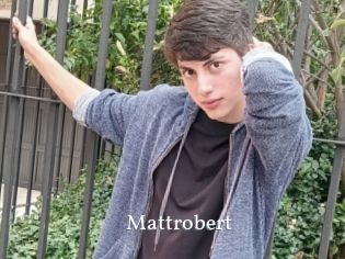 Mattrobert