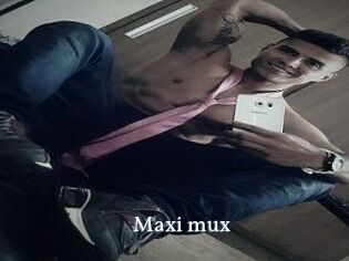 Maxi_mux