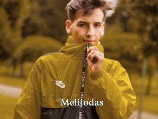 Meliiodas