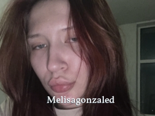 Melisagonzaled