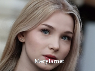 Merylarnet