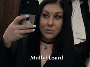 Mollyblizard