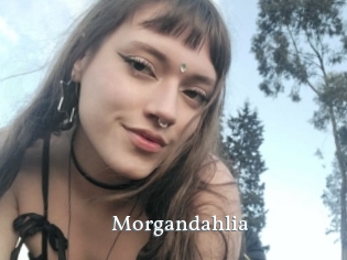 Morgandahlia