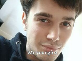 Mr_youngfox