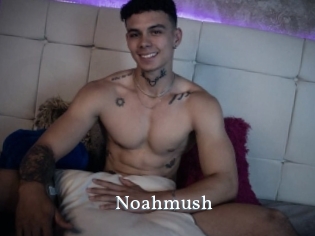 Noahmush