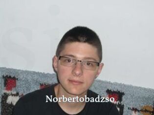 Norbertobadzso