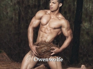 Owenwolfe