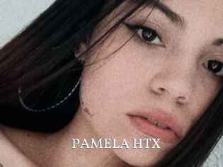 PAMELA_HTX