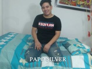 PAPO_SILVER