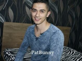 PatBunny