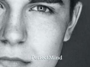 PerfectMind