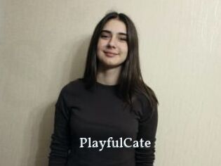 PlayfulCate