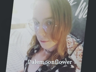 Palemoonflower