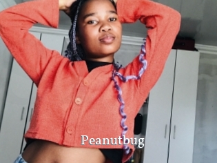 Peanutbug