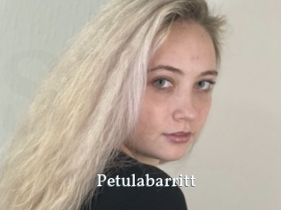 Petulabarritt