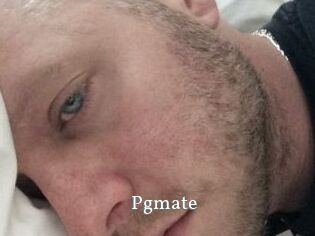 Pgmate