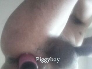 Piggyboy