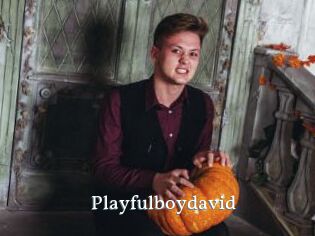 Playfulboydavid