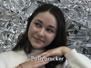 Pollybrucker