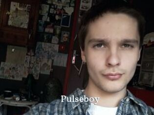 Pulseboy