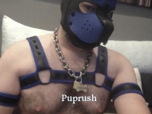 Puprush