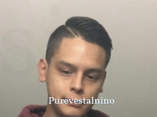 Purevestalnino