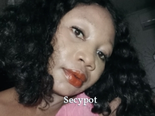 Secypot