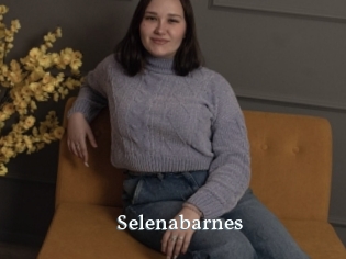 Selenabarnes