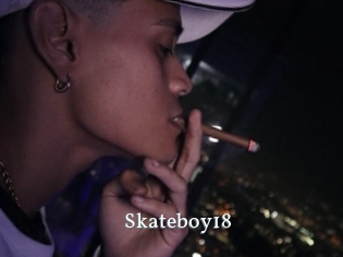 Skateboy18