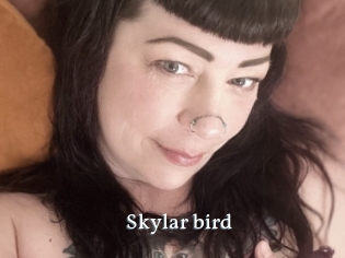 Skylar_bird