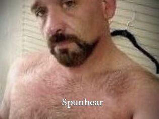 Spunbear