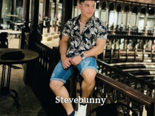 Stevebunny