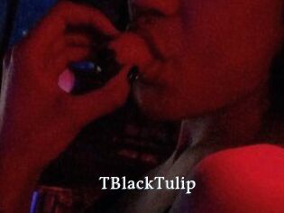 TBlackTulip