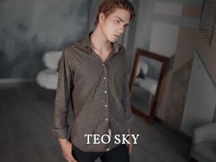 TEO_SKY