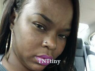 T_N_Ttiny