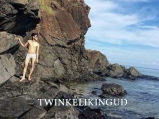 TWINKELIKINGUD