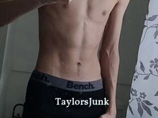 TaylorsJunk