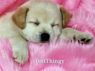 TestThingy