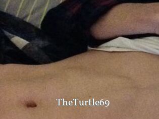 TheTurtle69