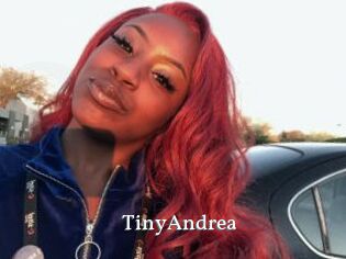 TinyAndrea