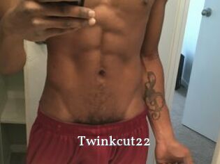 Twinkcut22