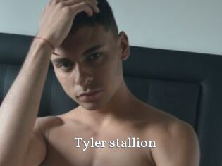 Tyler_stallion