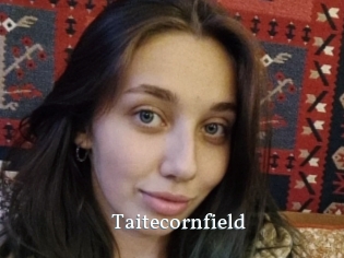 Taitecornfield