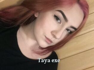 Taya_exe