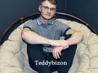 Teddybizon